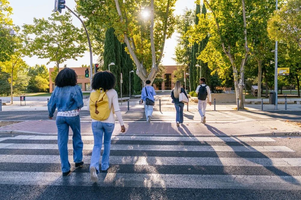 Students walking along a tree-lined campus walkway