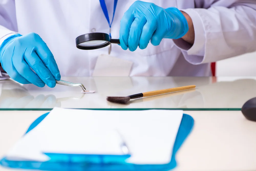 Technician examining a document with a magnifier and fingerprint brush